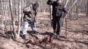 Два поисковых щупа пробуем в деле