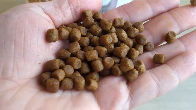 Корм для кошек сухой HILL'S Prescription Diet Feline S/d курица 1,5 кг Видеоотзыв (обзор) Дмитрия
