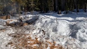 Зимняя рыбалка на хариуса.  речка Черная.  Заключительный день