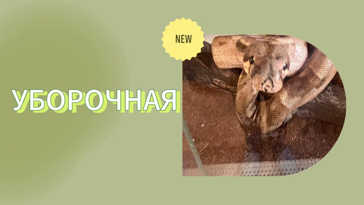 Первомай: ЧАСТЬ ТРИ - УБОРОЧНАЯ