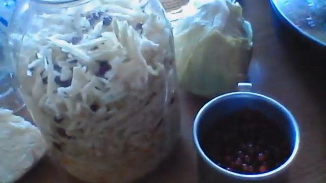 Квашеная капуста с брусникой смотреть онлайн