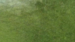 CБОР ЯГОД НА КАНАДСКОЙ ФЕРМЕ/КАНАДСКИЕ ФЕРМЫ