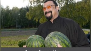 ФОТО: СТИВЕН СИГАЛ тогда и сейчас