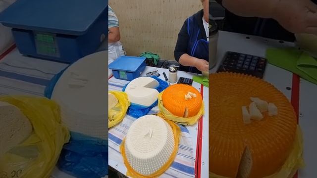 Станица Холмская 17.09.2022