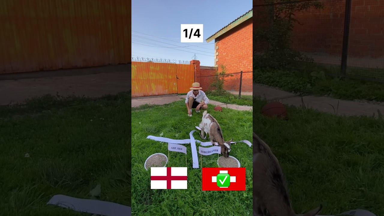 Как думаете, кто победит ? Иванушка предсказатель ? смотреть онлайн