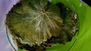 Долма - вкус и польза. Жить здорово! Фрагмент выпуска от 03.02.2014