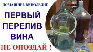 Первый перелив вина или лучше успеть,чем опоздать