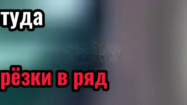 ||Оттуда где берёзки в ряд// lis_rizik|| смотреть онлайн