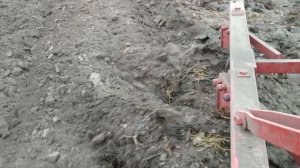 Пахота 2019. Вспашка огорода трактором МТЗ - 80.1 + ПЛН 3 - 35