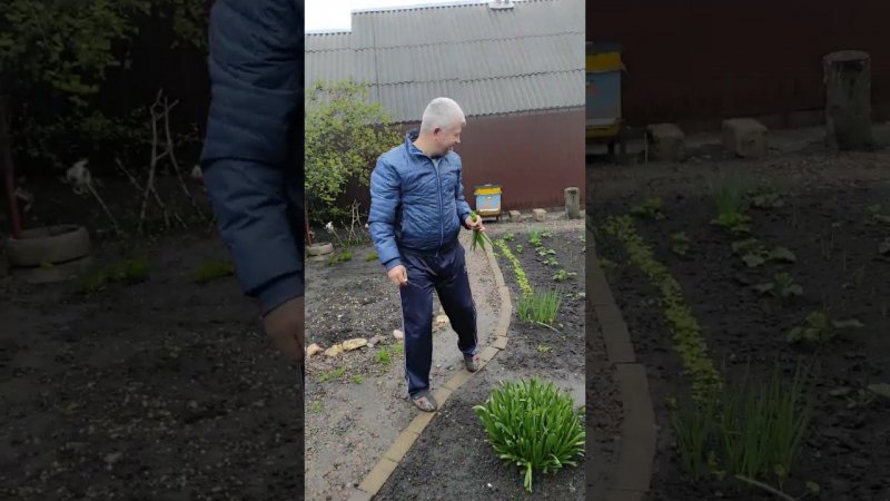 Организм требует витамин.