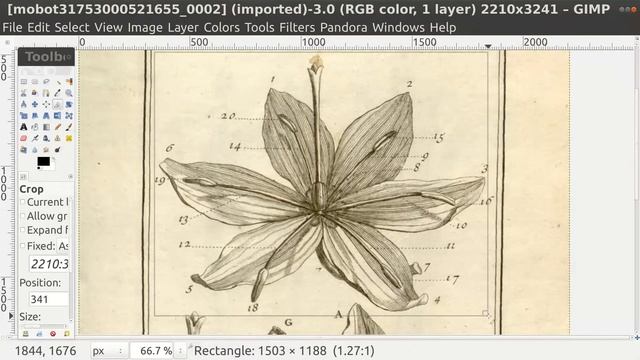 GIMP Crop Tool смотреть онлайн