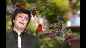 Венер Абдуллин - Һандуғасың булам тимә