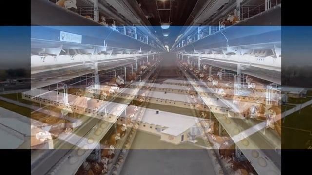 Строительство птицефабрик под ключ  8 800 100 2943