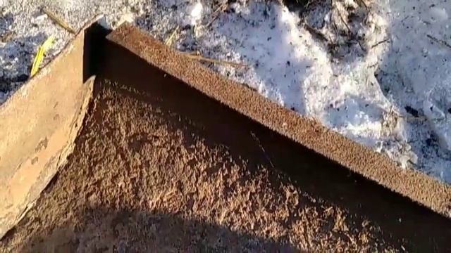 Экономная кормушка для поросят.
