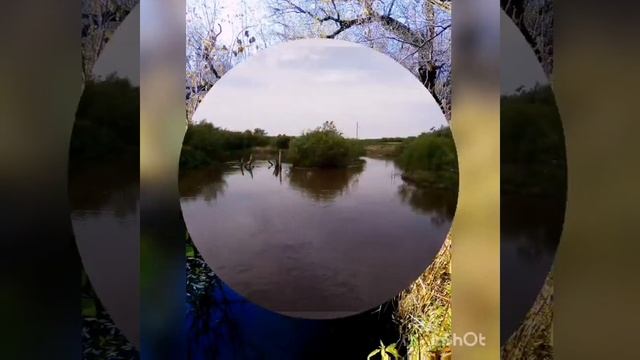 Региональная акция Россия - Родина моя