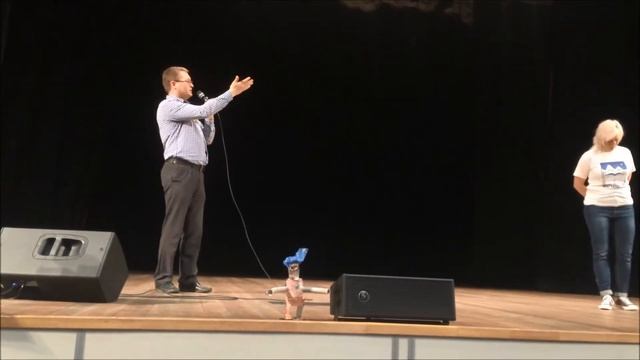 Лекция-диалог "Этапы научного процесса" смотреть онлайн