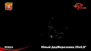 ЮНЫЙ ДЕДМОРОЗОВЕЦ PC614