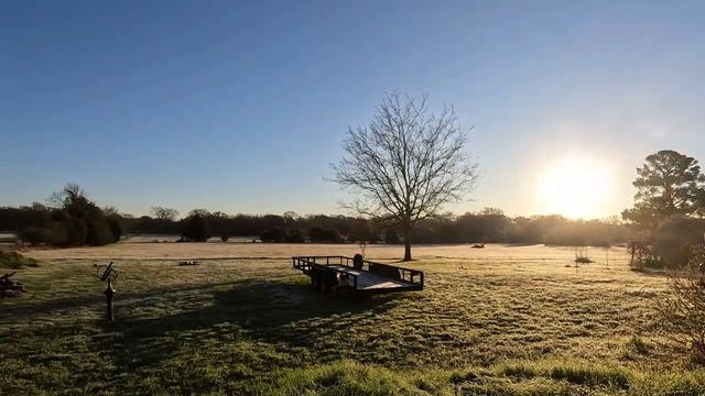 Frosty Morn Dec 15, 2022