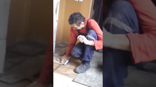 Лучший в мире способ затирка швов плитки на полу смотреть онлайн