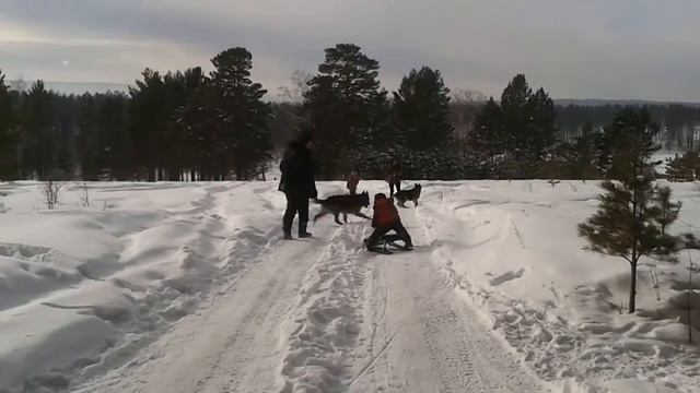 Катание на санках смотреть онлайн