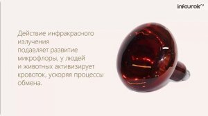 36 Инфракрасное и ультрафиолетовое излучения Шкала электромагнитных волн online video cutter com