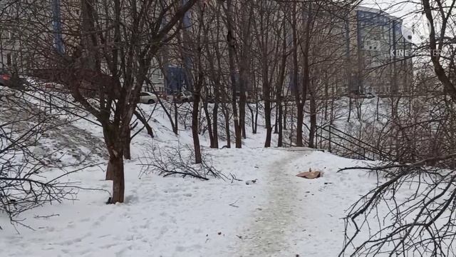 #влог МОРОЗ СМЕНЯЕТСЯ ТЁПЛЫМ ДЕНЬКОМ ???? смотреть онлайн