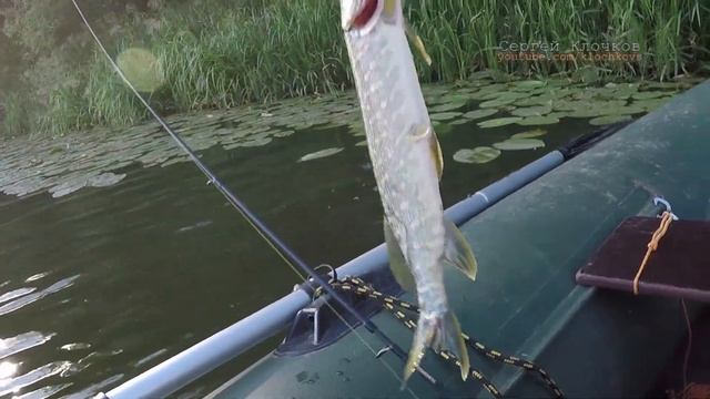 Рыбалка на спиннинг Мокша Мордовия худенькая щучка смотреть онлайн
