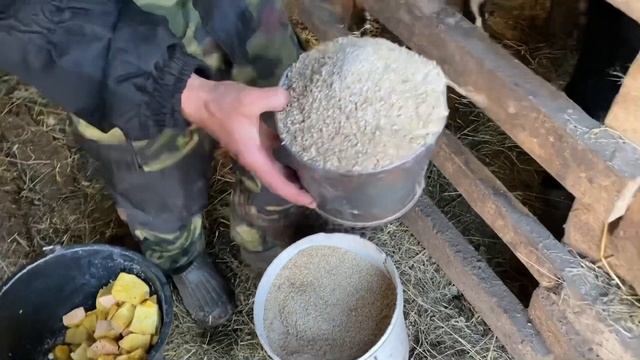 Тайная съёмка в чужом хозяйстве! Дойка чужих коров! В гостях у друга ветеринара! смотреть онлайн