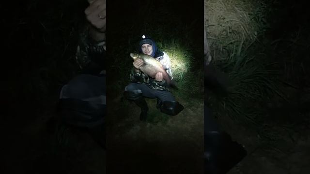 ТРОФЕЙНЫЙ ЛЕЩ. Ловля КРУПНОГО ЛЕЩА на реке фидером! Рыбалка в Беларуси 2021. Рыбалка на Березине