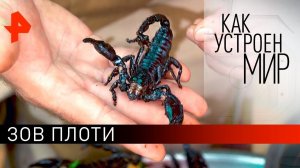 Зов плоти. "Как устроен мир" с Тимофеем Баженовым (27.07.21).