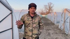 Вторая подкормка клубники весной и как я чередую обработки клубники