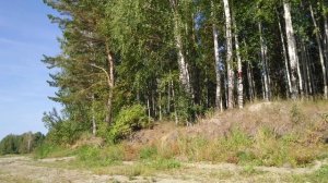 Песня Я в весеннем лесу пил березовый сок К ф Ошибка резидента