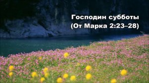 06.07.2014 Истинный смысл субботы (От Марка 2:23-3:6)