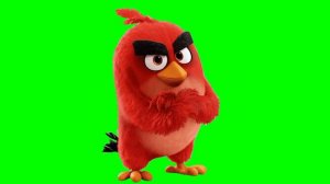 Animations Angry birds   green screen