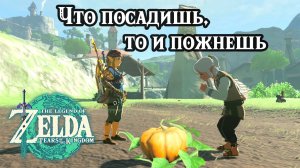 Что посадишь то и пожнешь. The Legend of Zelda Tears of the Kingdom. Uma's Garden. Nintendo Switch