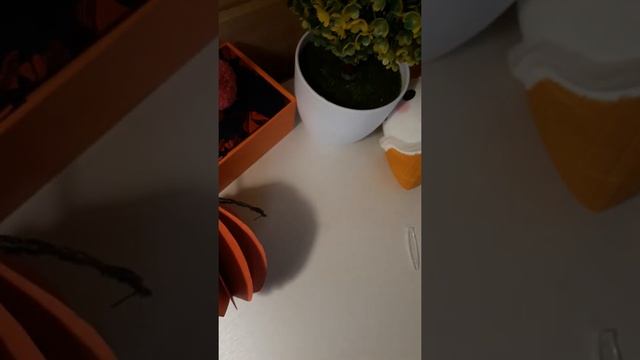 Back To Shool.Покупки к школе.