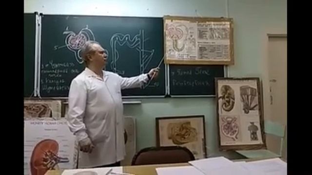Видеолекция 