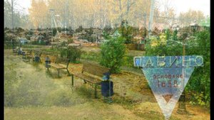 Павино Костромская область