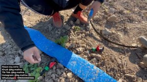Тамчылатып сугаруу Капельный полив Бассейн для полива Как установить капельную систему своими рукам