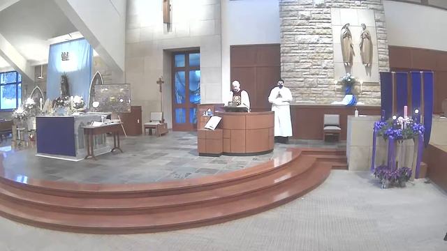 Solemnity of the Immaculate Conception of the Blessed Virgin Mary смотреть онлайн