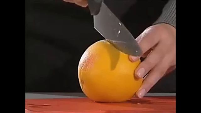 Santos Citrus Juice Evolution CE356 www.WaW.Solutions
