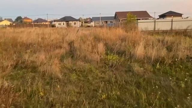 фазенда