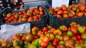 Рынок Торревьеха, Аликанте. Рынок Испания. Цены в Испании, цены в Торревьехе Испания