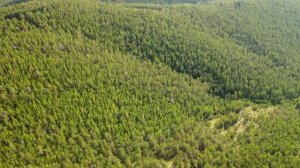 Полёт над Буддой Шакьямуни в Баян-Голе ,Хоринский район, Бурятия.