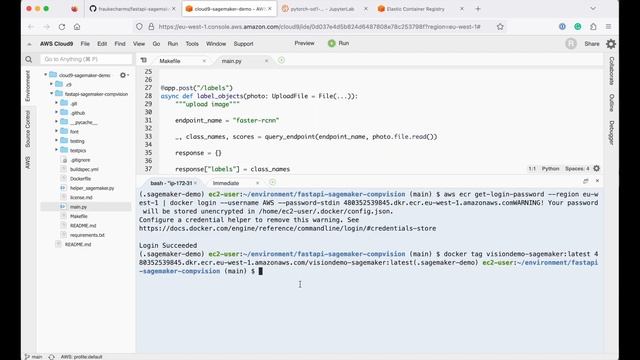 Sagemaker Object Detection Demo (via FastAPI & AWS App Runner) смотреть онлайн