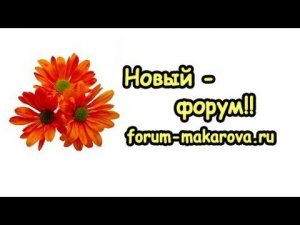 Новый форум!