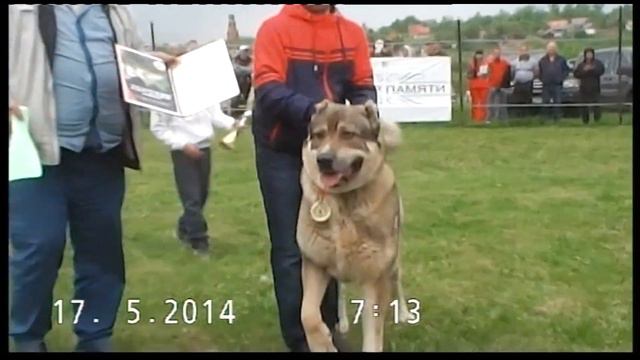 Барон смотреть онлайн