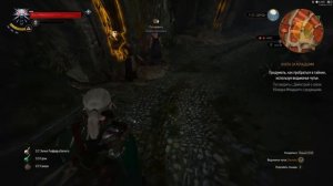 THE WITCHER 3 WILD HUNT #31:"УБЛЮДОК МЛАДШИЙ"