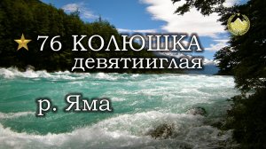 ✮ р. Яма ✮ Колюшка девятииглая ✮ Русская рыбалка 4 ✮