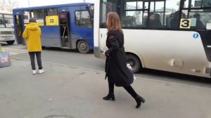 три автобуса паз маршруты 22, 36, 92, микроавтобус вектор next маршрут 3